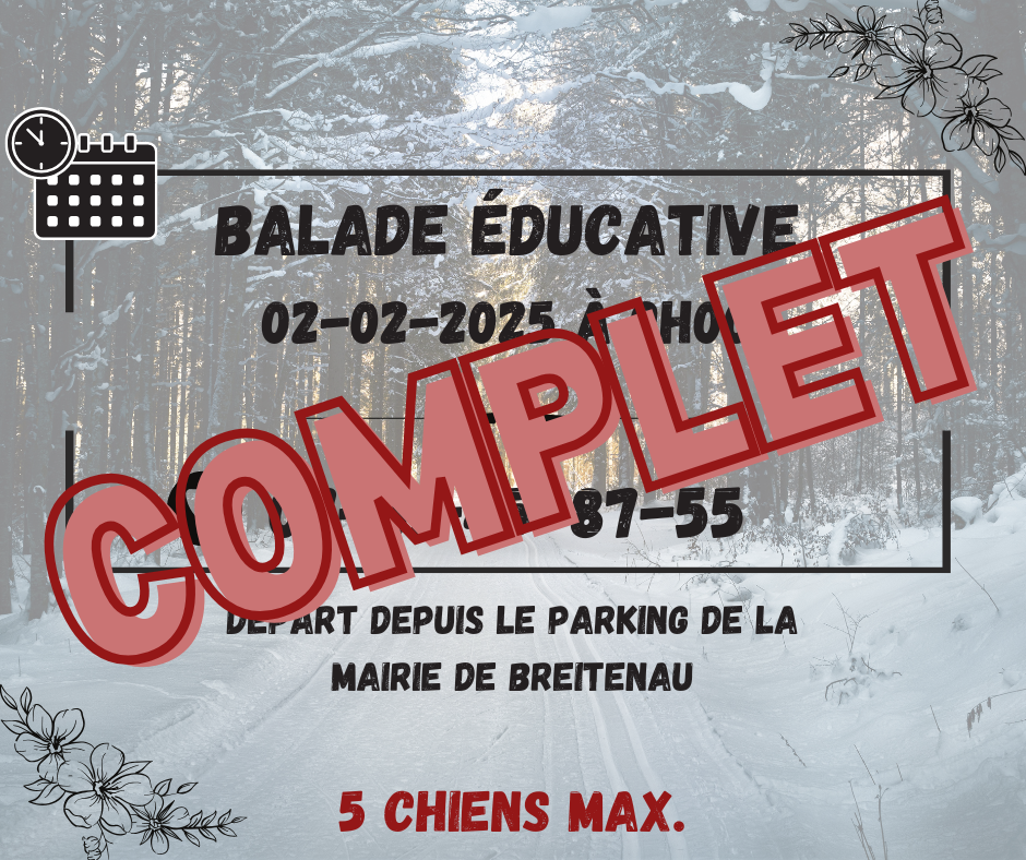 Balade educative v6