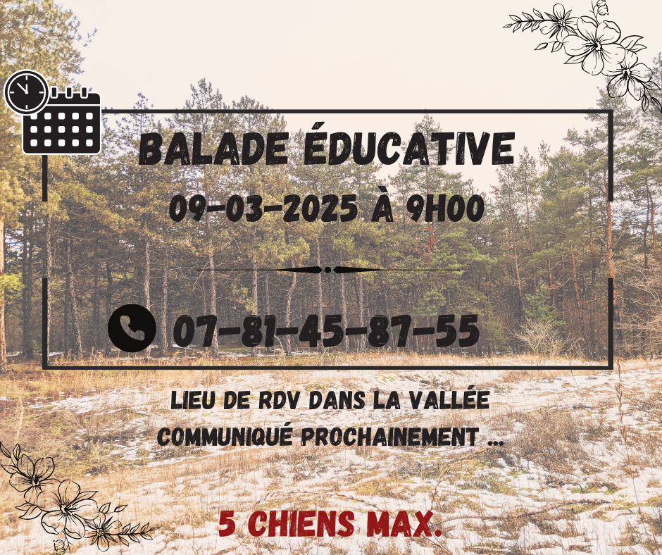Balade educative v7
