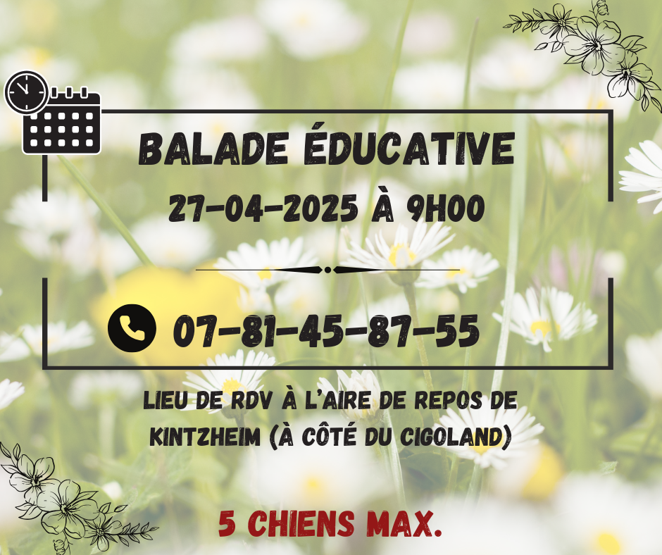 Balade educative v8